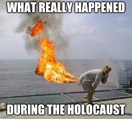 im sorry government lol | WHAT REALLY HAPPENED; DURING THE HOLOCAUST | image tagged in memes,darti boy | made w/ Imgflip meme maker