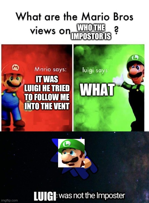 Logic = no | WHO THE IMPOSTOR IS; WHAT; IT WAS LUIGI HE TRIED TO FOLLOW ME INTO THE VENT; LUIGI | image tagged in mario bros views | made w/ Imgflip meme maker