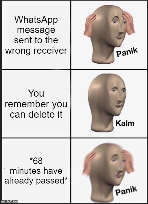 Well, that's an F | WhatsApp message sent to the wrong receiver; You remember you can delete it; *68 minutes have already passed* | image tagged in memes,panik kalm panik,whatsapp | made w/ Imgflip meme maker