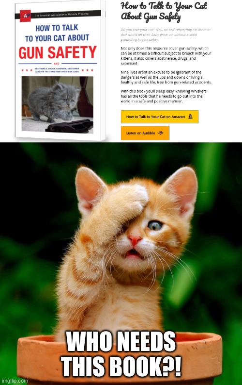 WHAT?! | WHO NEEDS THIS BOOK?! | image tagged in cat face palm | made w/ Imgflip meme maker