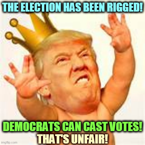 THE ELECTION HAS BEEN RIGGED! DEMOCRATS CAN CAST VOTES! THAT'S UNFAIR! | image tagged in trump,rigged elections,crybaby,tantrum,fascist,dictator | made w/ Imgflip meme maker