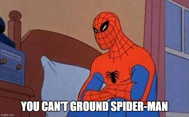 Spiderman Mad | YOU CAN'T GROUND SPIDER-MAN | image tagged in spiderman mad | made w/ Imgflip meme maker