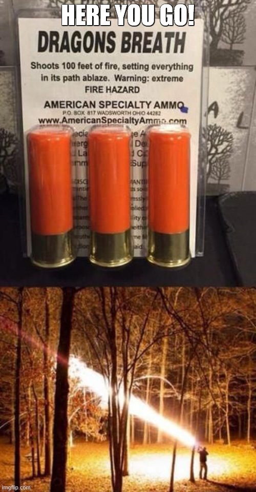 Dragon's Breath Shotgun Shells | HERE YOU GO! | image tagged in dragon's breath shotgun shells | made w/ Imgflip meme maker