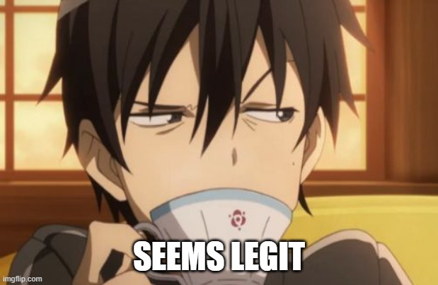 Sword Art Online | SEEMS LEGIT | image tagged in sword art online | made w/ Imgflip meme maker