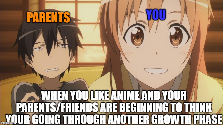 Sword Art Online | PARENTS; YOU; WHEN YOU LIKE ANIME AND YOUR PARENTS/FRIENDS ARE BEGINNING TO THINK YOUR GOING THROUGH ANOTHER GROWTH PHASE | image tagged in sword art online | made w/ Imgflip meme maker