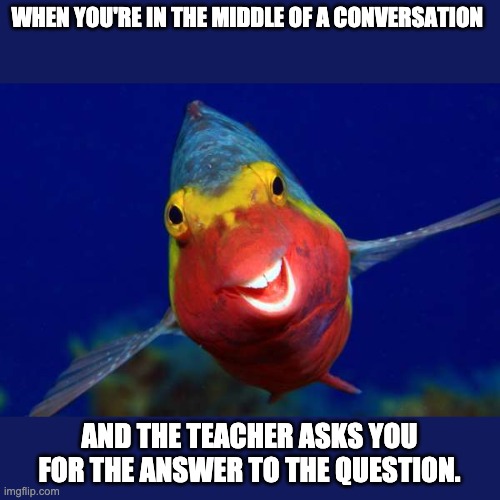 Funny Fish | WHEN YOU'RE IN THE MIDDLE OF A CONVERSATION; AND THE TEACHER ASKS YOU FOR THE ANSWER TO THE QUESTION. | image tagged in fish | made w/ Imgflip meme maker
