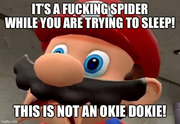 Mario WTF | IT’S A FUCKING SPIDER WHILE YOU ARE TRYING TO SLEEP! THIS IS NOT AN OKIE DOKIE! | image tagged in mario wtf | made w/ Imgflip meme maker