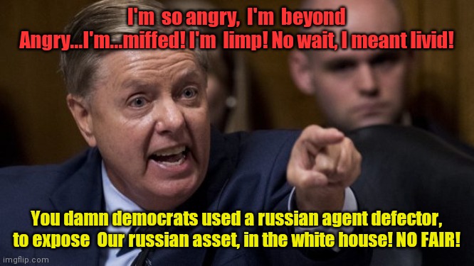 Angry Lindsey Graham | I'm  so angry,  I'm  beyond Angry...I'm...miffed! I'm  limp! No wait, I meant livid! You damn democrats used a russian agent defector, to expose  Our russian asset, in the white house! NO FAIR! | image tagged in angry lindsey graham | made w/ Imgflip meme maker