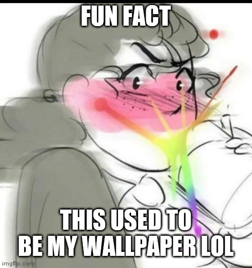 FUN FACT; THIS USED TO BE MY WALLPAPER LOL | image tagged in memes | made w/ Imgflip meme maker