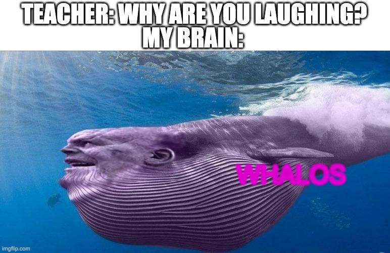 WHALOS | TEACHER: WHY ARE YOU LAUGHING? MY BRAIN:; WHALOS | image tagged in thanos | made w/ Imgflip meme maker