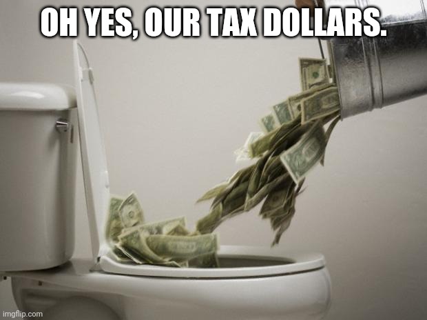money down toilet | OH YES, OUR TAX DOLLARS. | image tagged in money down toilet | made w/ Imgflip meme maker