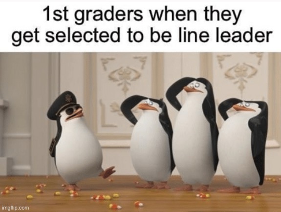 Penguin Line Leader | image tagged in madagascar,penguins of madagascar,among us,my hero academia,line leader,school | made w/ Imgflip meme maker