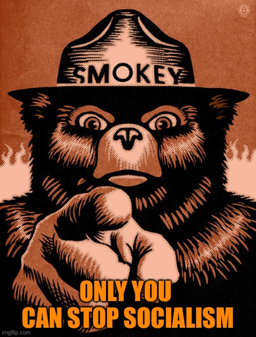 Smoky the Bear | ONLY YOU 
CAN STOP SOCIALISM | image tagged in smoky the bear | made w/ Imgflip meme maker