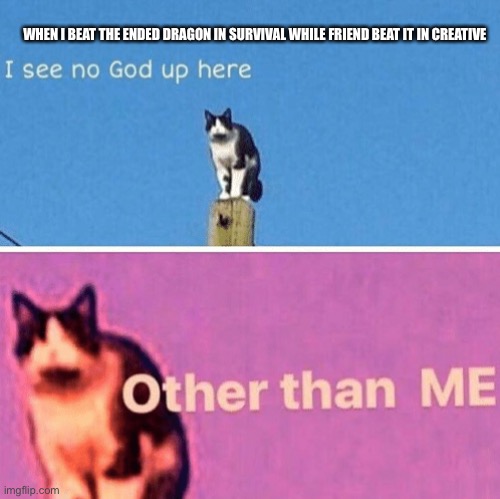 Me as cat | WHEN I BEAT THE ENDED DRAGON IN SURVIVAL WHILE FRIEND BEAT IT IN CREATIVE | image tagged in hail pole cat | made w/ Imgflip meme maker