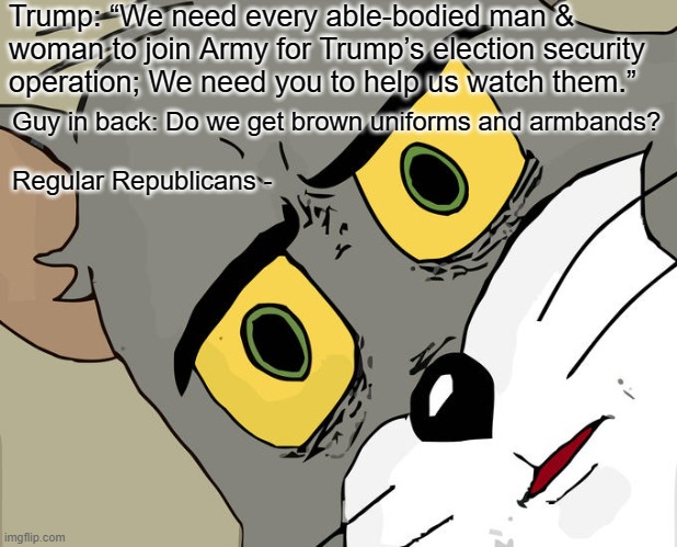 They Said "It Can't Happen Here"... | Trump: “We need every able-bodied man & woman to join Army for Trump’s election security operation; We need you to help us watch them.”; Guy in back: Do we get brown uniforms and armbands?
   
Regular Republicans - | image tagged in memes,unsettled tom,donald trump,republican,election 2020 | made w/ Imgflip meme maker