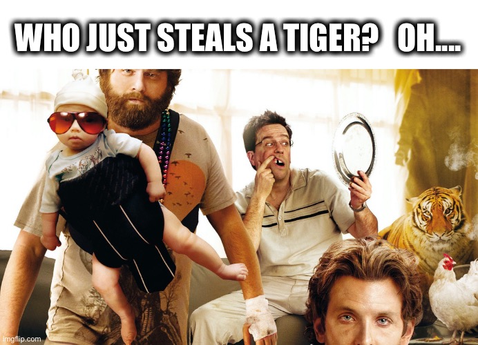 WHO JUST STEALS A TIGER?   OH.... | made w/ Imgflip meme maker