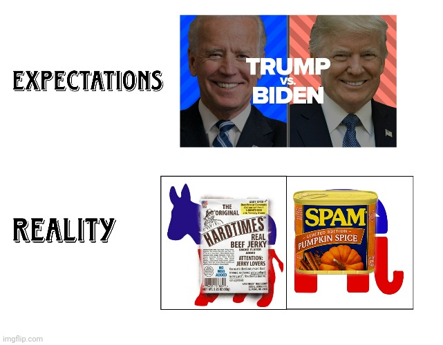 Expectations vs Reality | image tagged in all screwed 2020,trump,biden,spam,jerky | made w/ Imgflip meme maker