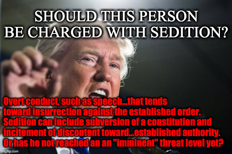 When is it sedition, when anarchy? | SHOULD THIS PERSON BE CHARGED WITH SEDITION? Overt conduct, such as speech...that tends toward insurrection against the established order. Sedition can include subversion of a constitution and incitement of discontent toward...established authority. 
Or has he not reached an an "imminent" threat level yet? | image tagged in donald trump | made w/ Imgflip meme maker