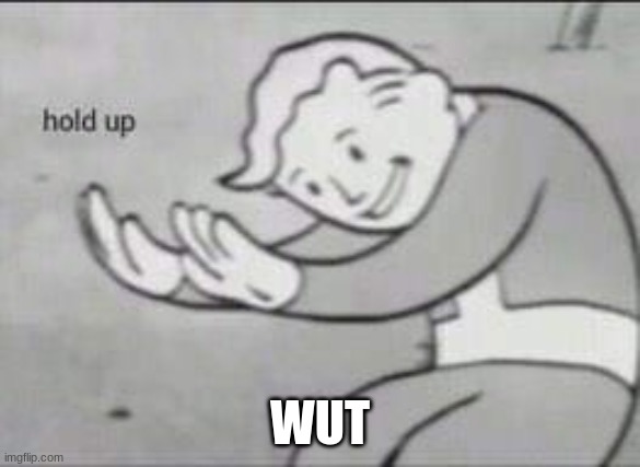 Fallout Hold Up | WUT | image tagged in fallout hold up | made w/ Imgflip meme maker
