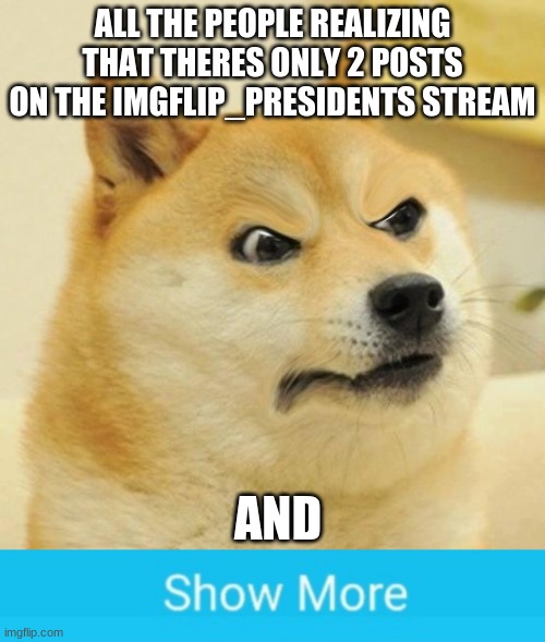 ANGER +100! | ALL THE PEOPLE REALIZING THAT THERES ONLY 2 POSTS ON THE IMGFLIP_PRESIDENTS STREAM; AND | image tagged in confused angery doge | made w/ Imgflip meme maker