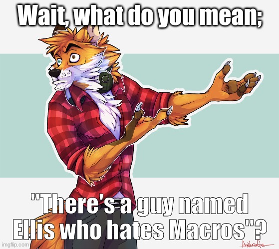 What do You Mean? Furry |  Wait, what do you mean;; "There's a guy named Ellis who hates Macros"? | image tagged in what do you mean,furry | made w/ Imgflip meme maker