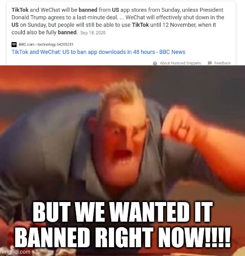 BUT WE WANTED IT BANNED RIGHT NOW!!!! | image tagged in mr incredible mad | made w/ Imgflip meme maker