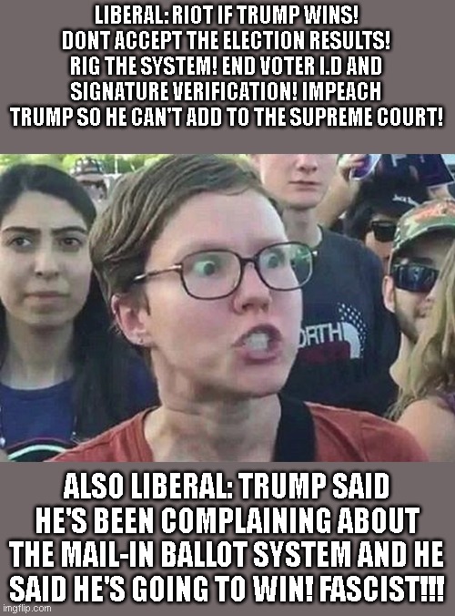 Triggered Liberal | LIBERAL: RIOT IF TRUMP WINS! DONT ACCEPT THE ELECTION RESULTS! RIG THE SYSTEM! END VOTER I.D AND SIGNATURE VERIFICATION! IMPEACH TRUMP SO HE CAN'T ADD TO THE SUPREME COURT! ALSO LIBERAL: TRUMP SAID HE'S BEEN COMPLAINING ABOUT THE MAIL-IN BALLOT SYSTEM AND HE SAID HE'S GOING TO WIN! FASCIST!!! | image tagged in triggered liberal | made w/ Imgflip meme maker