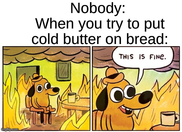 When you try to put cold butter on bread | Nobody: 
When you try to put cold butter on bread: | image tagged in memes,this is fine,funny,bread,butter,relatable | made w/ Imgflip meme maker