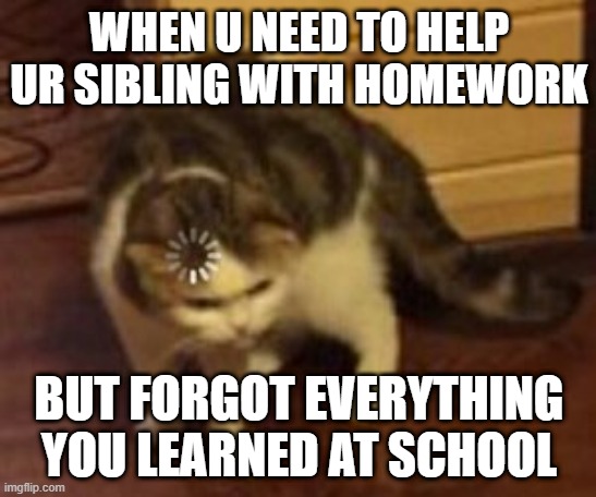 im not joking | WHEN U NEED TO HELP UR SIBLING WITH HOMEWORK; BUT FORGOT EVERYTHING YOU LEARNED AT SCHOOL | image tagged in loading cat | made w/ Imgflip meme maker