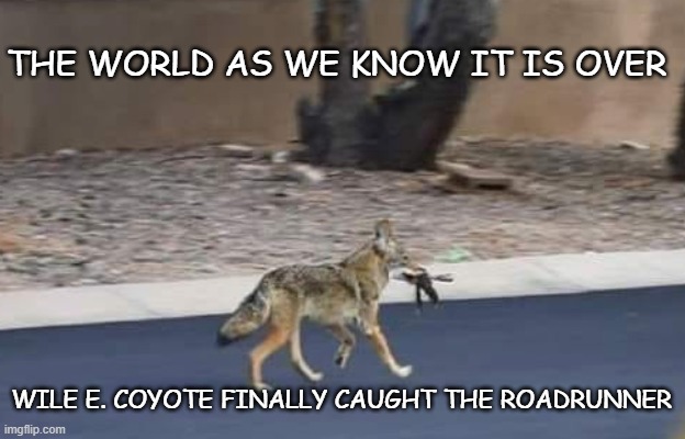 It's All Over | THE WORLD AS WE KNOW IT IS OVER; WILE E. COYOTE FINALLY CAUGHT THE ROADRUNNER | image tagged in coyote,roadrunner,wile e coyote,the roadrunner | made w/ Imgflip meme maker