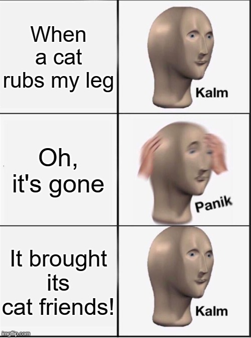 Reverse kalm panik | When a cat rubs my leg Oh, it's gone It brought its cat friends! | image tagged in reverse kalm panik | made w/ Imgflip meme maker