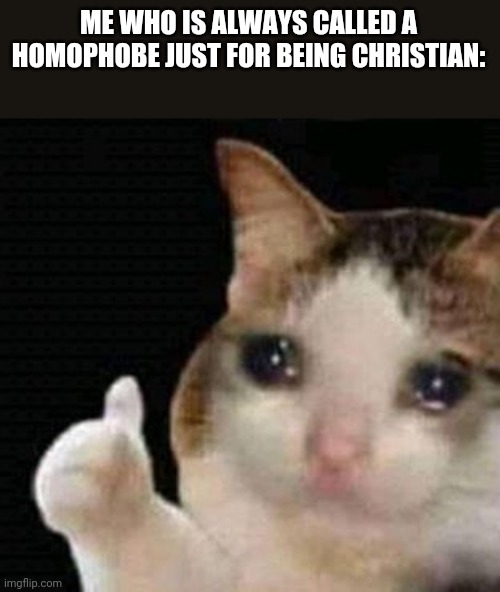 I have nothing against u guys. But I'm always getting attacked by certain users, and called "homophobic piece of shit", "meaning | ME WHO IS ALWAYS CALLED A HOMOPHOBE JUST FOR BEING CHRISTIAN: | image tagged in crying thumbs up | made w/ Imgflip meme maker