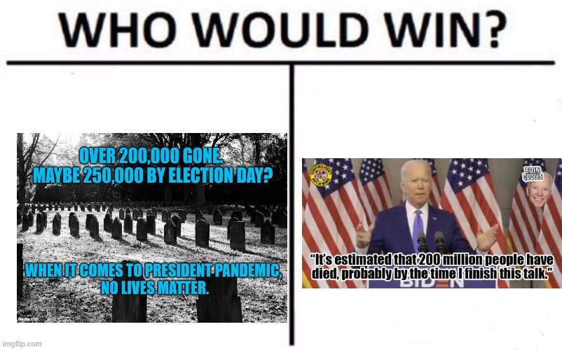 Who Would Win? Meme | image tagged in memes,who would win | made w/ Imgflip meme maker