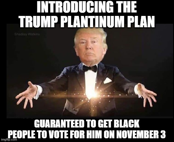 Have I Got a Deal for You! | INTRODUCING THE TRUMP PLANTINUM PLAN; GUARANTEED TO GET BLACK PEOPLE TO VOTE FOR HIM ON NOVEMBER 3 | image tagged in trump magician | made w/ Imgflip meme maker