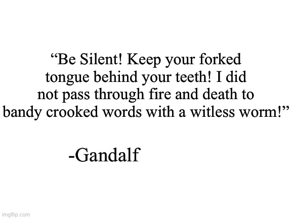 Blank White Template | “Be Silent! Keep your forked tongue behind your teeth! I did not pass through fire and death to bandy crooked words with a witless worm!”; -Gandalf | image tagged in blank white template | made w/ Imgflip meme maker