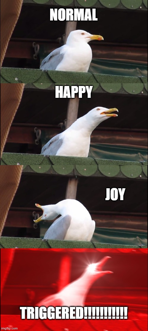 Inhaling Seagull | NORMAL; HAPPY; JOY; TRIGGERED!!!!!!!!!!! | image tagged in memes,inhaling seagull | made w/ Imgflip meme maker