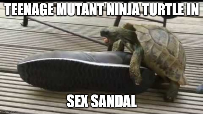 TEENAGE MUTANT NINJA TURTLE IN SEX SANDAL | made w/ Imgflip meme maker