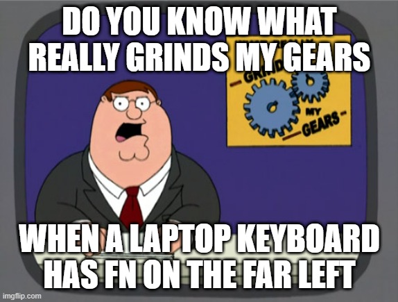 Peter Griffin News Meme | DO YOU KNOW WHAT REALLY GRINDS MY GEARS; WHEN A LAPTOP KEYBOARD HAS FN ON THE FAR LEFT | image tagged in memes,peter griffin news | made w/ Imgflip meme maker