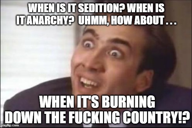 sarcasm | WHEN IS IT SEDITION? WHEN IS IT ANARCHY?  UHMM, HOW ABOUT . . . WHEN IT'S BURNING DOWN THE FUCKING COUNTRY!? | image tagged in sarcasm | made w/ Imgflip meme maker