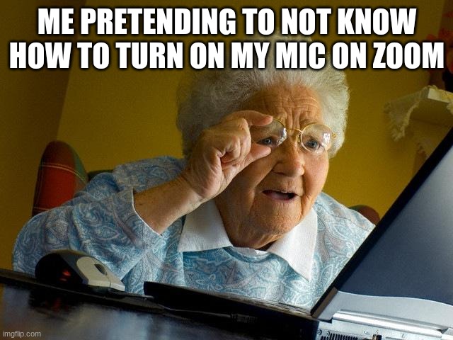 Heh... | ME PRETENDING TO NOT KNOW HOW TO TURN ON MY MIC ON ZOOM | image tagged in memes,grandma finds the internet | made w/ Imgflip meme maker