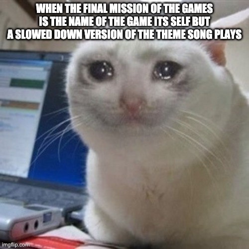 Crying cat | WHEN THE FINAL MISSION OF THE GAMES IS THE NAME OF THE GAME ITS SELF BUT A SLOWED DOWN VERSION OF THE THEME SONG PLAYS | image tagged in crying cat | made w/ Imgflip meme maker