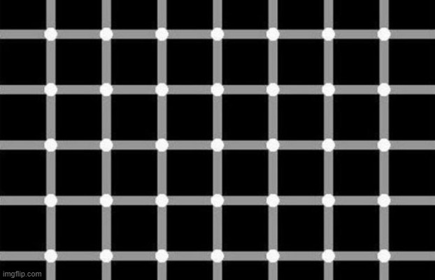 this is not a gif (proof If you focus on one circle it wont blink but the moment you lost focus you will realize its an illusion | image tagged in illusion | made w/ Imgflip meme maker