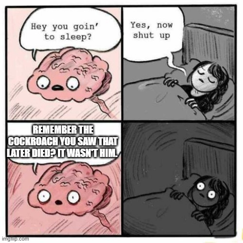 It wasn't him... | REMEMBER THE COCKROACH YOU SAW THAT LATER DIED? IT WASN'T HIM. | image tagged in hey you going to sleep | made w/ Imgflip meme maker