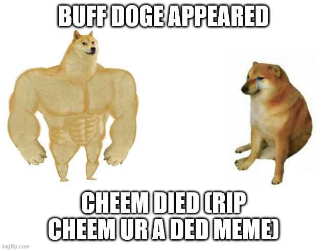Buff Doge vs. Cheems Meme | BUFF DOGE APPEARED CHEEM DIED (RIP CHEEM UR A DED MEME) | image tagged in strong doge weak doge | made w/ Imgflip meme maker