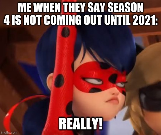 Grumpy Miraculous | ME WHEN THEY SAY SEASON 4 IS NOT COMING OUT UNTIL 2021:; REALLY! | image tagged in grumpy miraculous | made w/ Imgflip meme maker