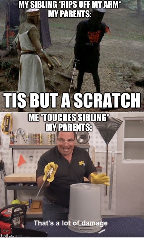 That’s a lot of damage | MY SIBLING *RIPS OFF MY ARM*
MY PARENTS:; ME *TOUCHES SIBLING*
MY PARENTS: | image tagged in thats a lot of damage,tis but a scratch | made w/ Imgflip meme maker