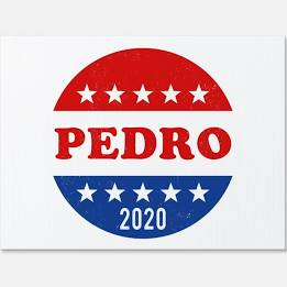 High Quality Vote for pedro 2020 Blank Meme Template