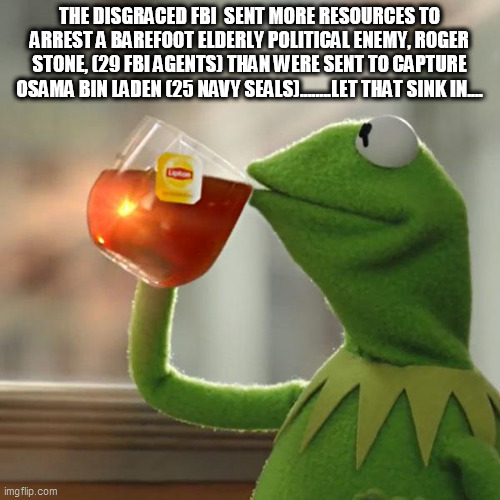 But That's None Of My Business Meme | THE DISGRACED FBI  SENT MORE RESOURCES TO ARREST A BAREFOOT ELDERLY POLITICAL ENEMY, ROGER STONE, (29 FBI AGENTS) THAN WERE SENT TO CAPTURE OSAMA BIN LADEN (25 NAVY SEALS)........LET THAT SINK IN.... | image tagged in memes,but that's none of my business,kermit the frog | made w/ Imgflip meme maker