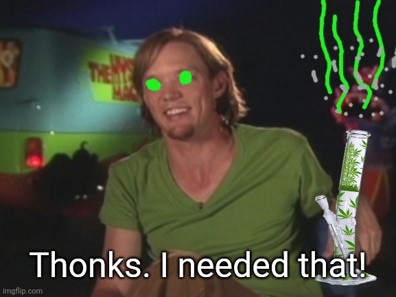 Shaggy Interview | Thonks. I needed that! | image tagged in shaggy interview | made w/ Imgflip meme maker