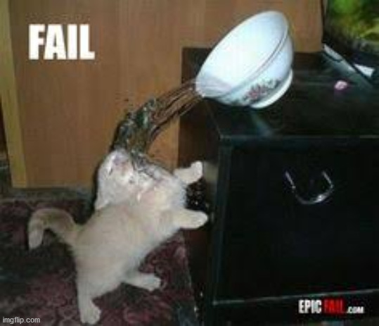 Cat Water Spill | image tagged in cat water spill | made w/ Imgflip meme maker